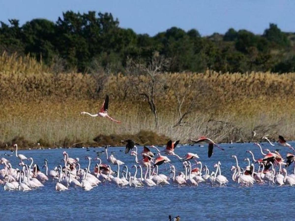 Casa Vacanze A Pennichella Canicattini Bagni Zewnętrze zdjęcie